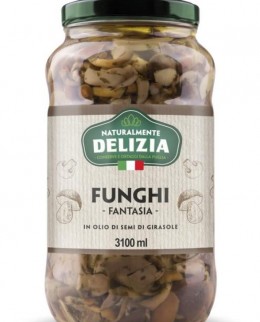 Funghi-fantasia-600x900