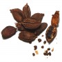 Indian-Black-Cardamom