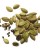 Indian-Green-Cardamom-150x150