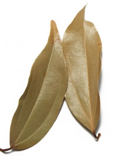 allspice-leaves