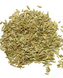 indian-fennel