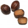 sri-lankan-nutmeg