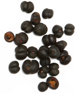 tasmanian-pepper